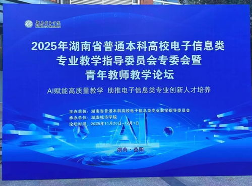 聚智同行，共促成長 小眼睛科技受邀亮相2025湖南省電子信息學(xué)術(shù)年會